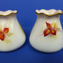 Worcester Pair of Fruit Vases 2